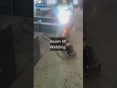 Atelier sidérurgique du Sri Lanka avec projet de grue